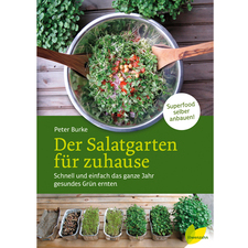 Der Salatgarten für zuhause